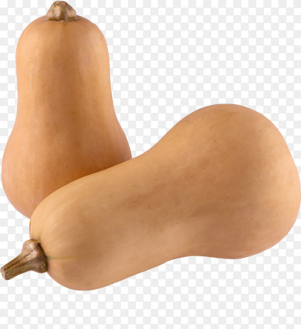 Butternut