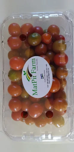 packaged tomatoes