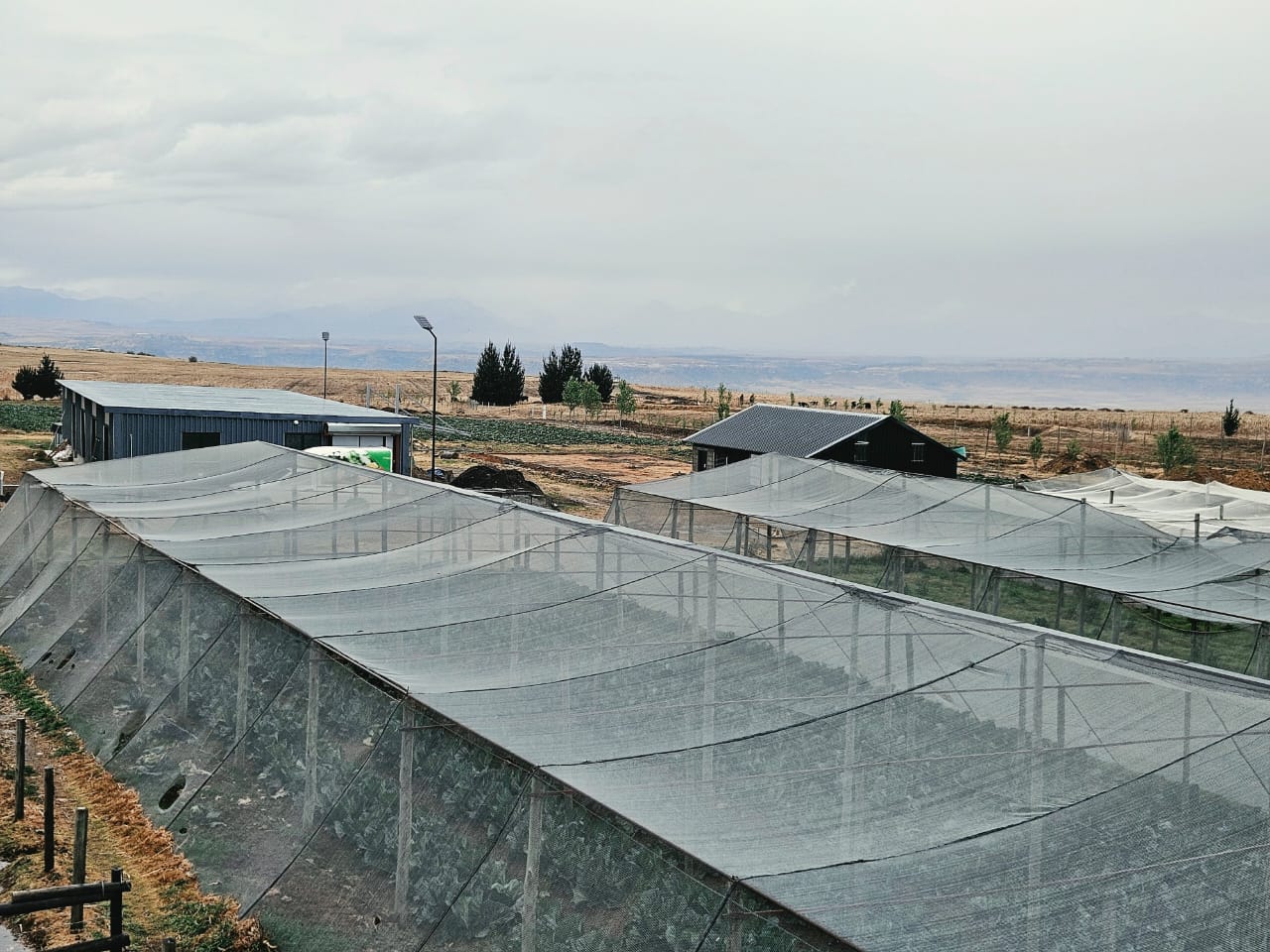 Shade nets and surrounding landscape