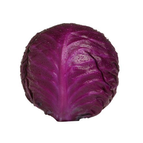 Red Cabbage