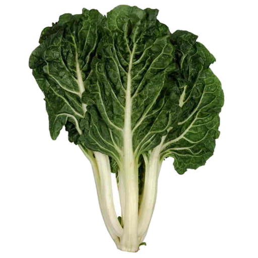 Spinach Bundle