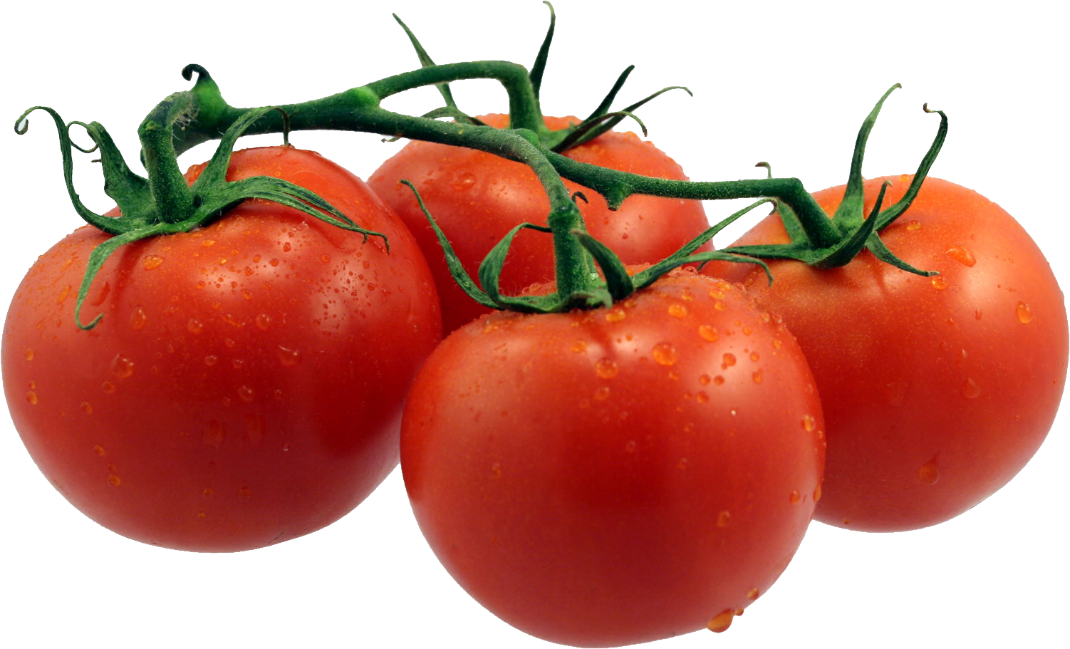 Tomatoes