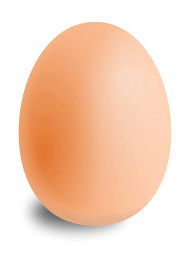X-Large Eggs